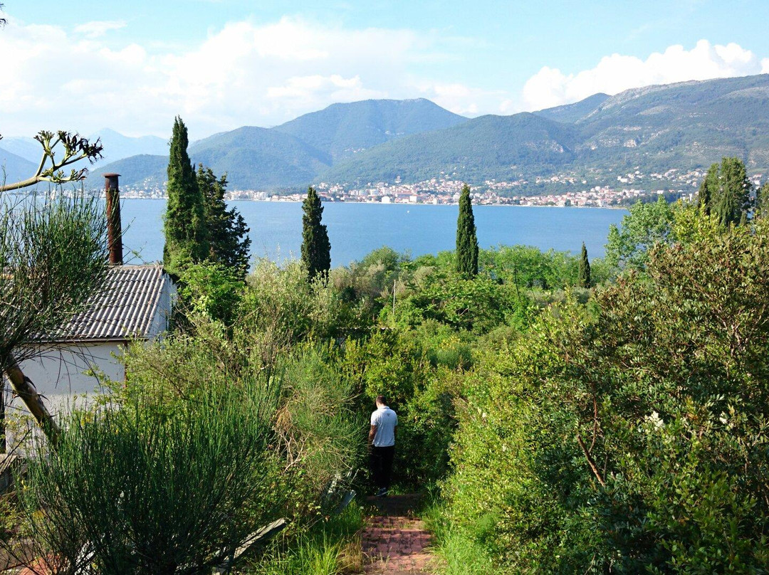 Island of St. Mark-Tivat Municipality必去景点