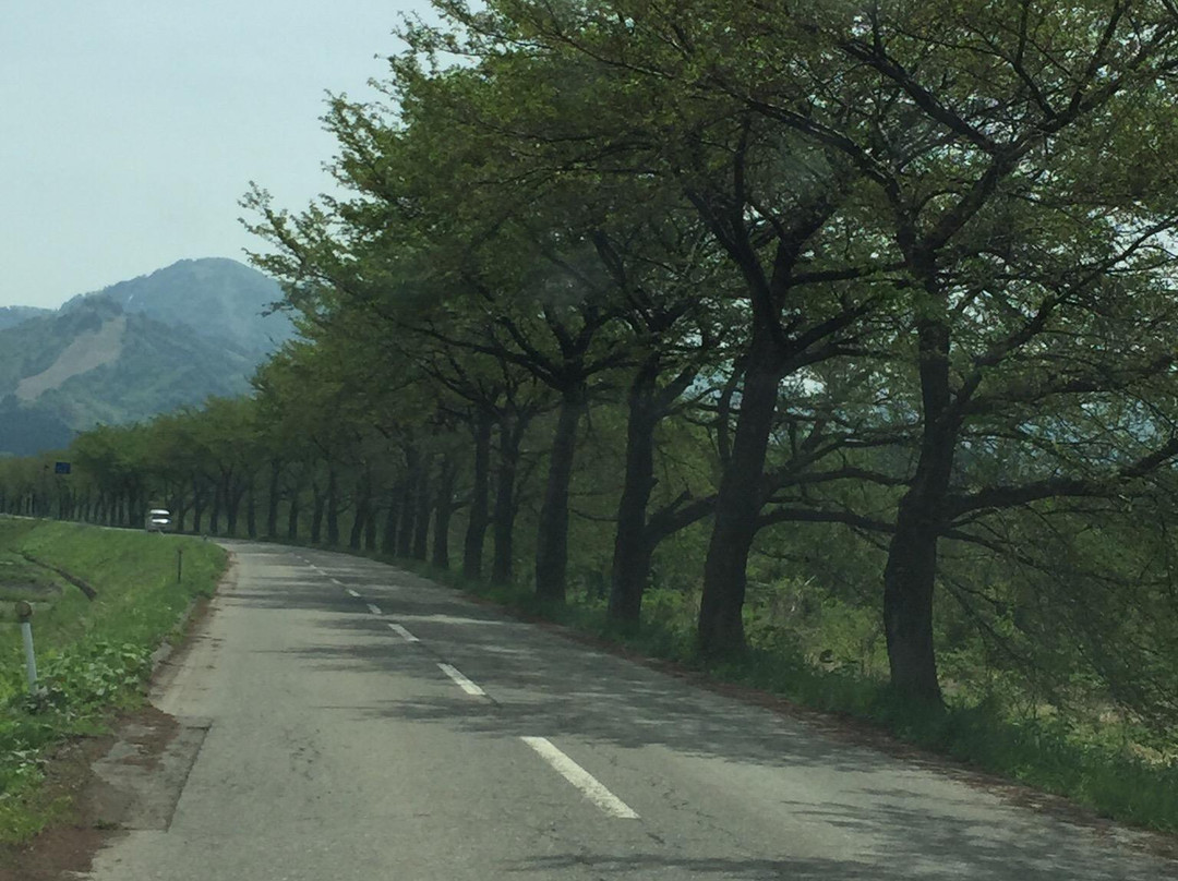 Tainai Kogen Beer Garden-胎内市必去景点