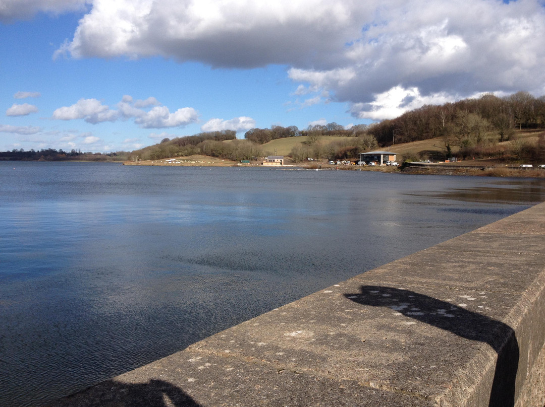 Llandegfedd Lake景点图片