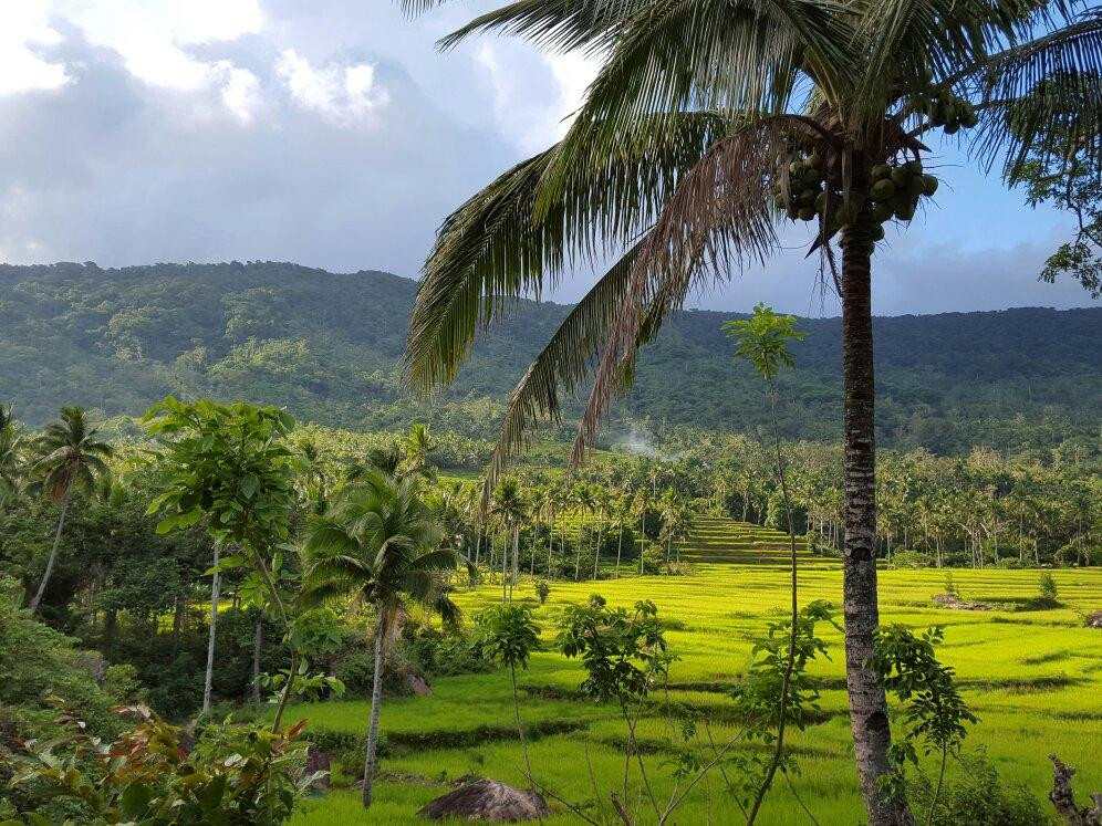 Marinduque Wildlife Sanctuary