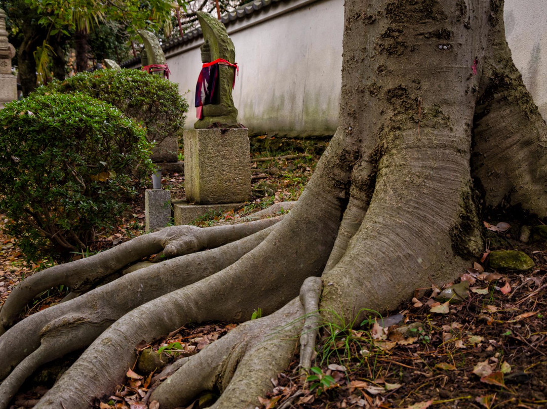 Konyo-ji Temple-伊丹市必去景点