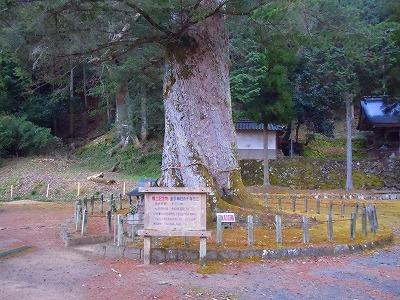 Otte Shrine-丹波篠山必去景点