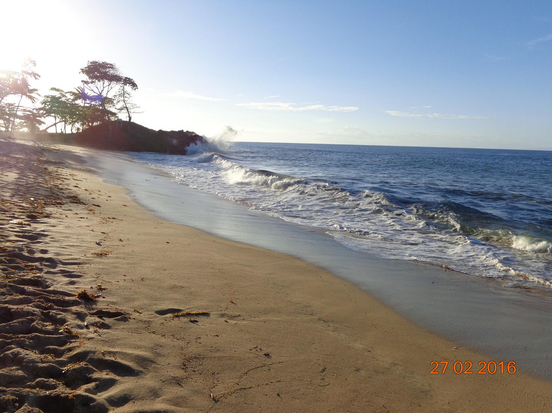 Tanjung Kasuari Beach-索龙必去景点