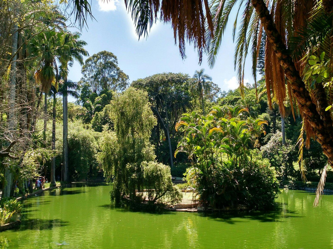 Americo Renee Giannetti Municipal Park-贝洛哈里桑塔必去景点