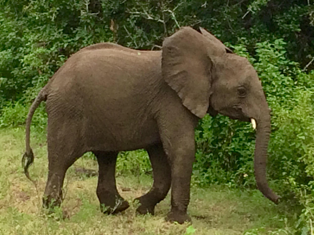 Super Safari-桑给巴尔岛必去景点