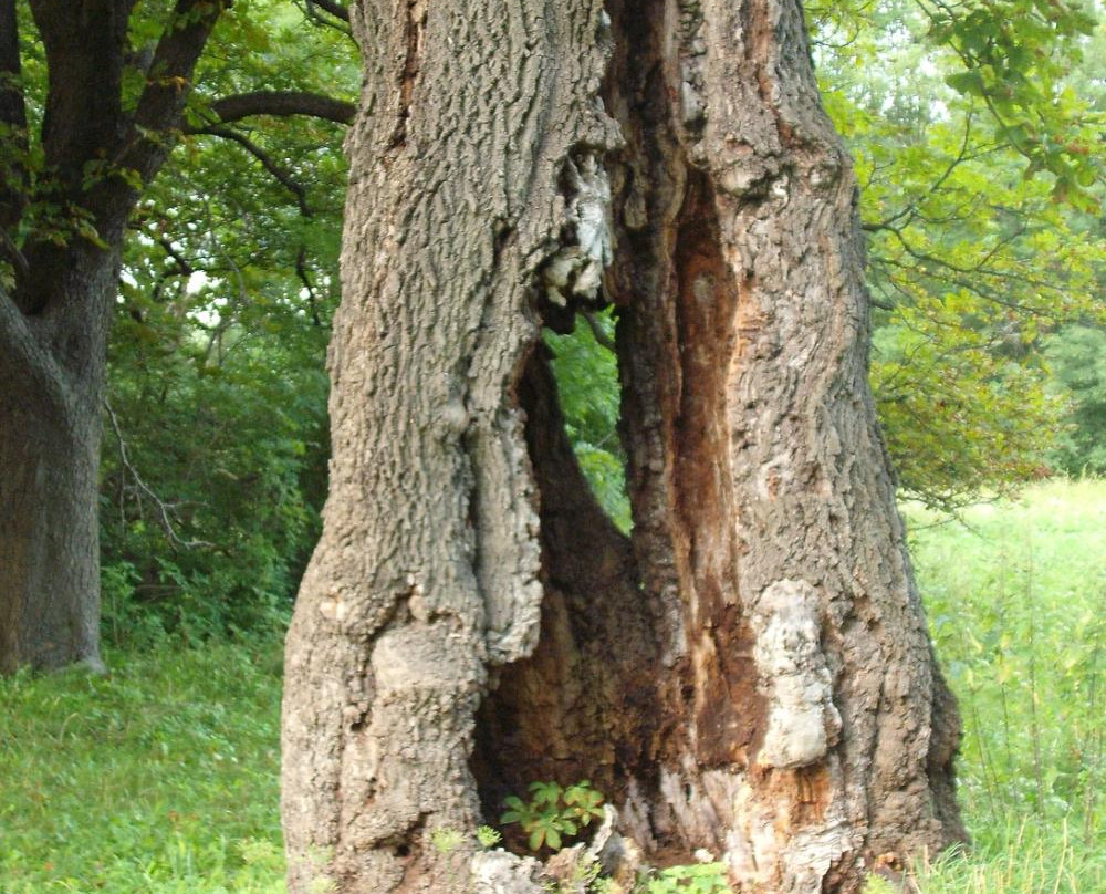 Smolen Nature Reserve景点图片