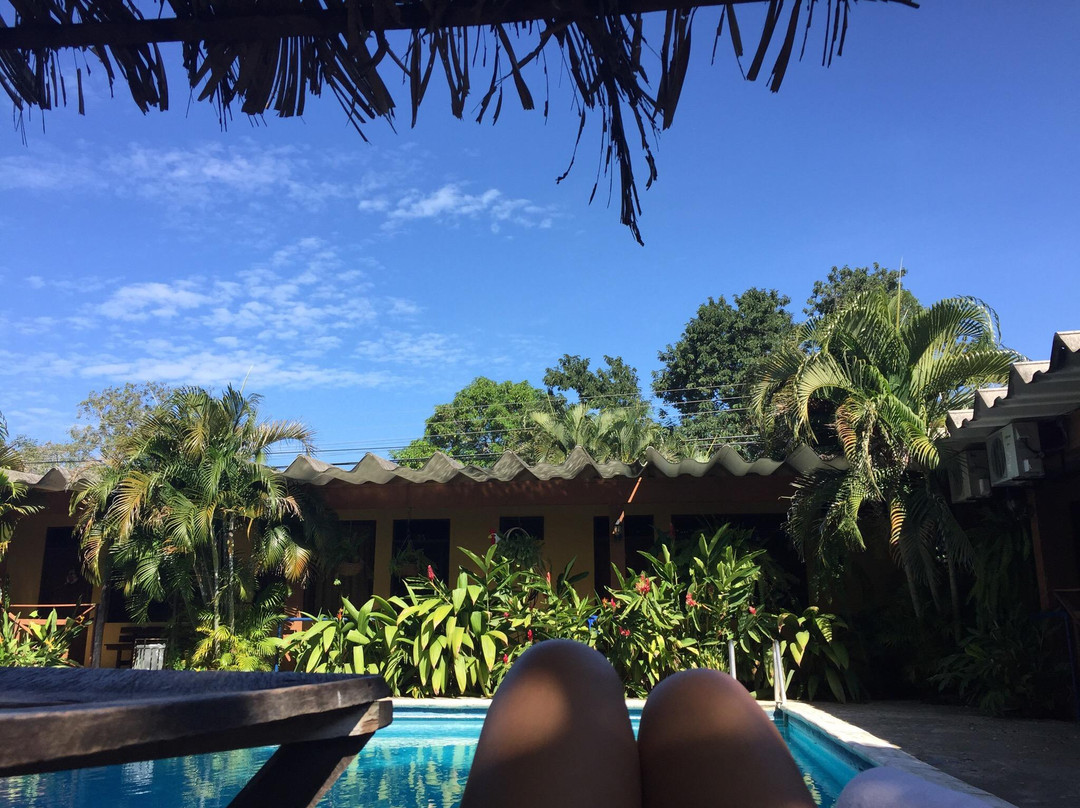 Hotel Cabinas Amelia主图