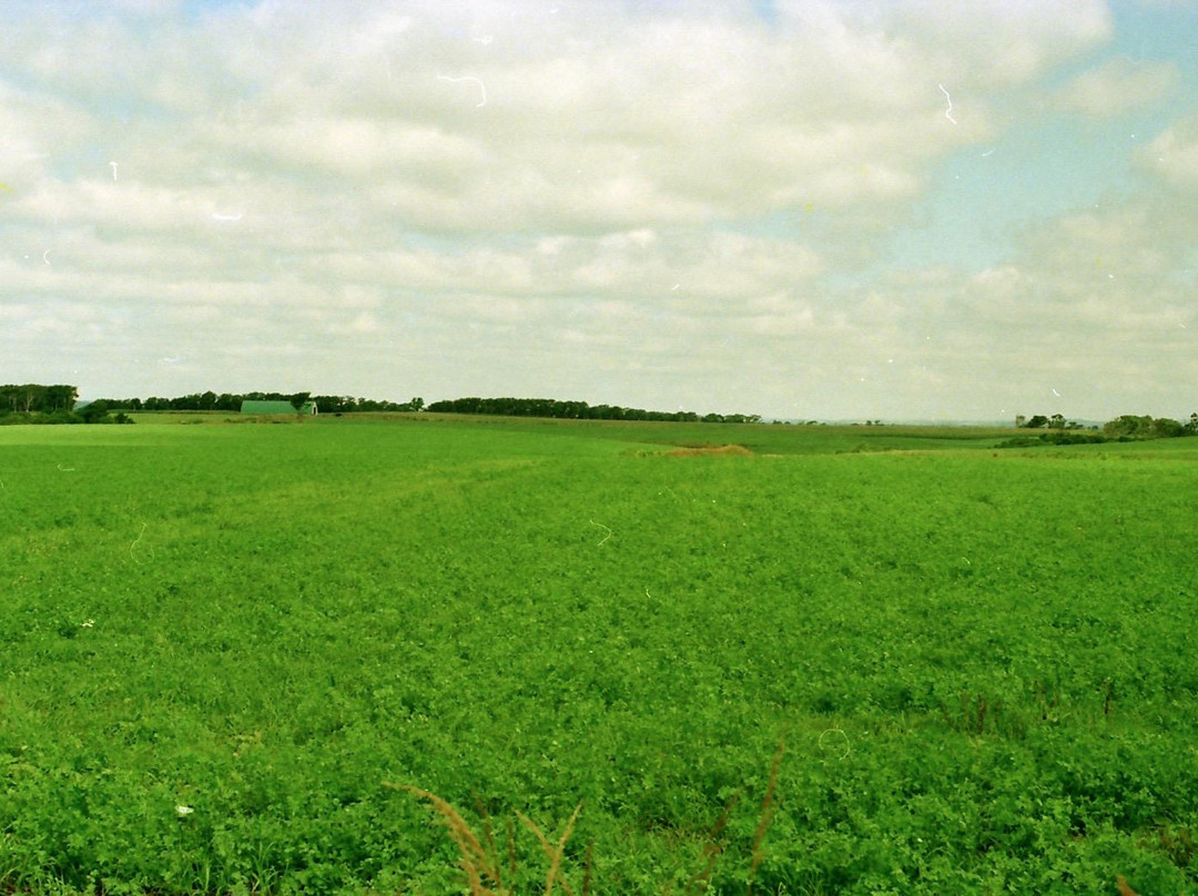 丰富町旅游景点-Sarobetsu Primeval Garden