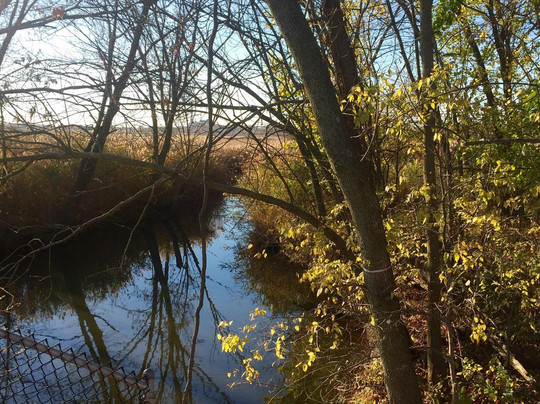 Freshkills Park-斯塔滕岛必去景点