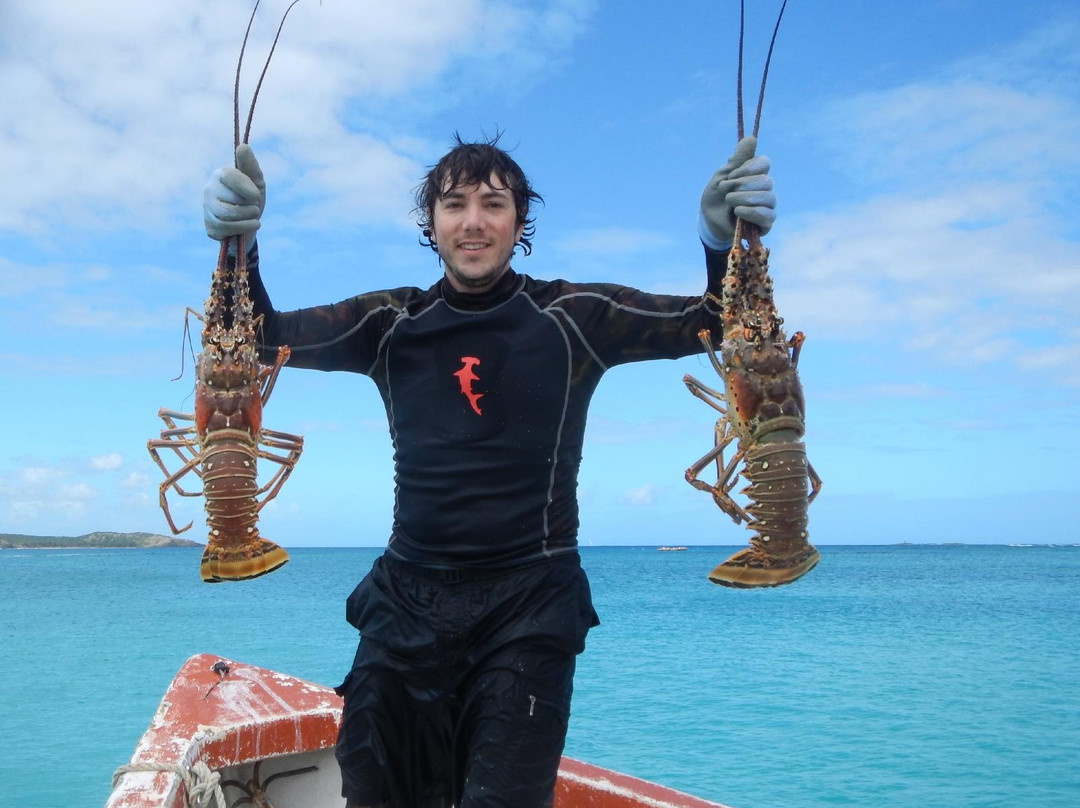 Spearfishing Puerto Rico-法哈多必去景点