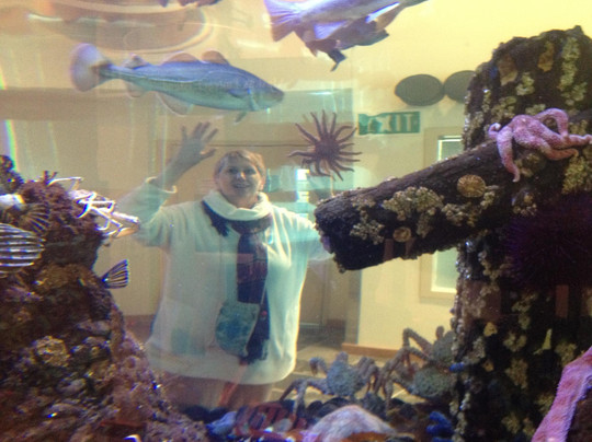 Kodiak Laboratory Aquarium & Touch Tank-Kodiak必去景点