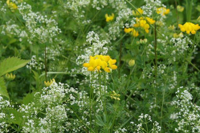 Denison Pequotsepos Nature Center-神秘河必去景点