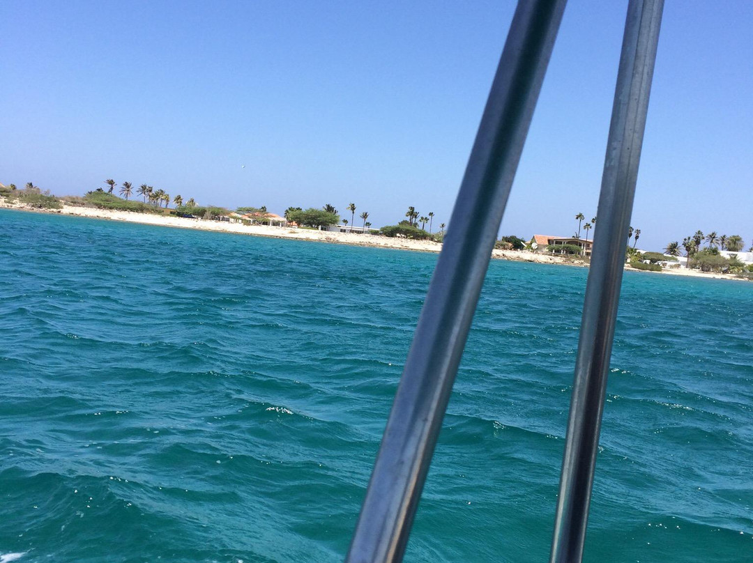 Private Snorkeling Aruba- Day Tours-棕榈/鹰海滩必去景点