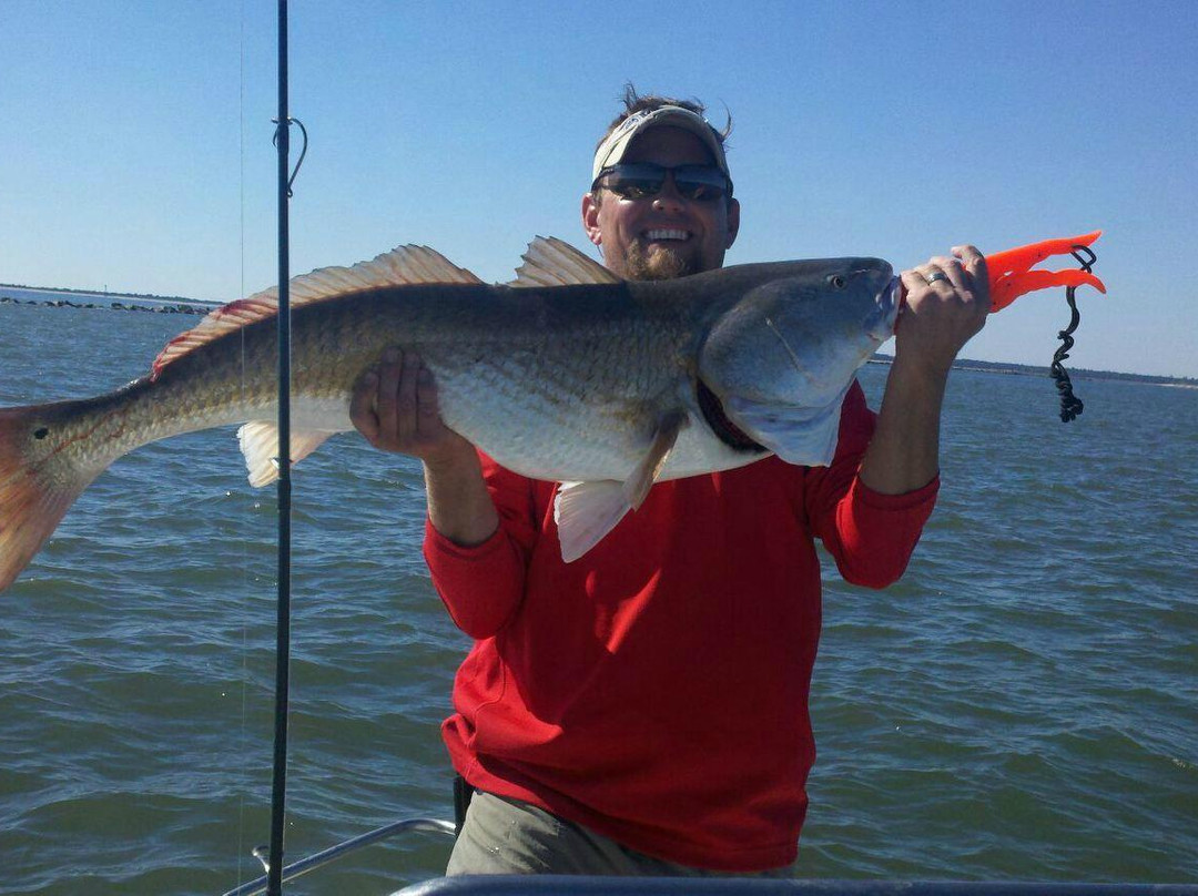 Creek Donkey Charters-乔治敦必去景点