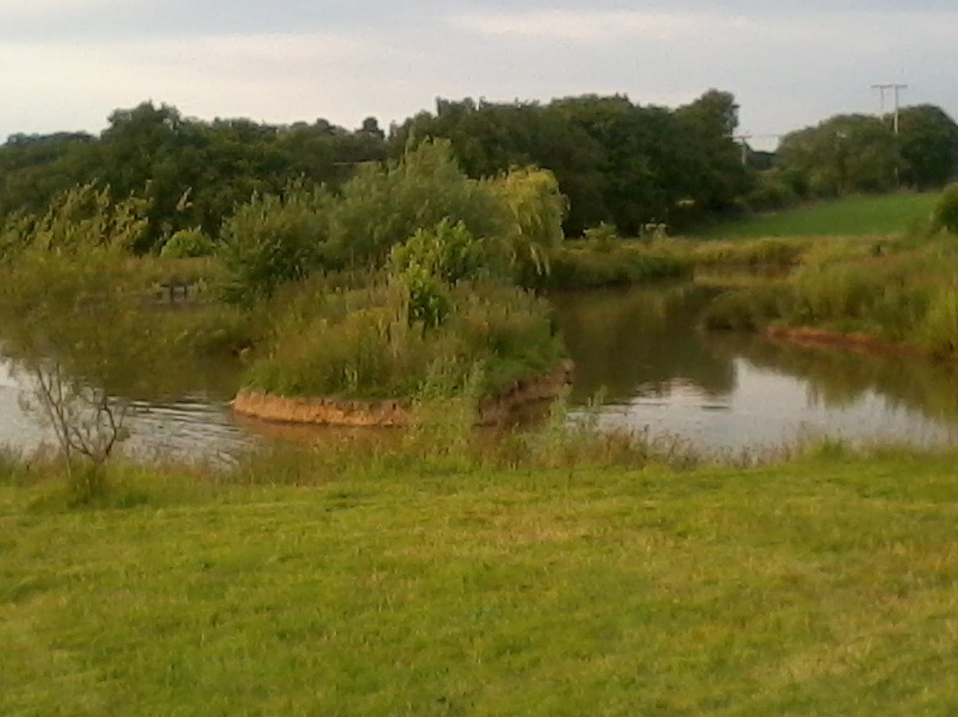 Bemersley pools景点图片
