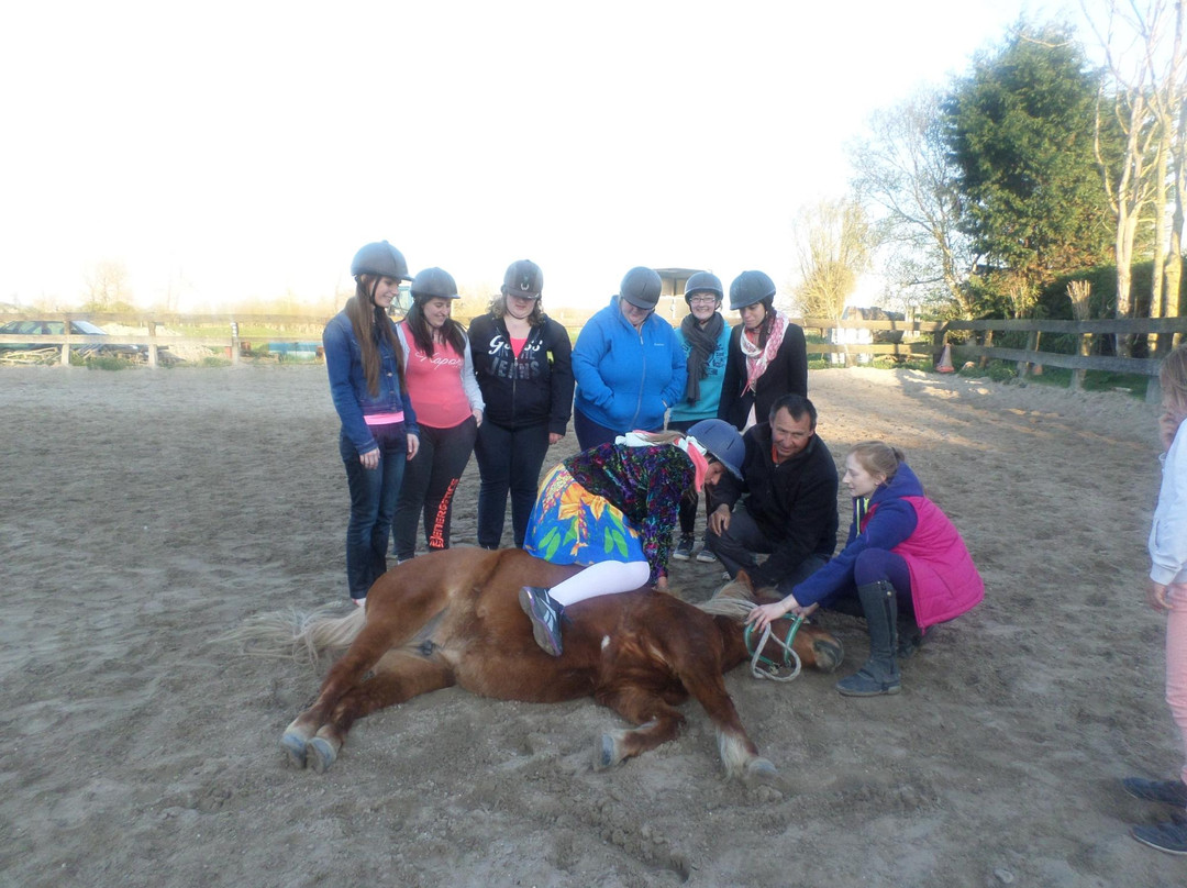 Poney Club du Marquenterre景点图片