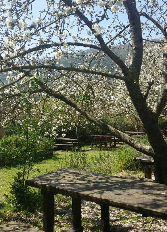 Azienda Il Giardino di Diana-Nemi必去景点
