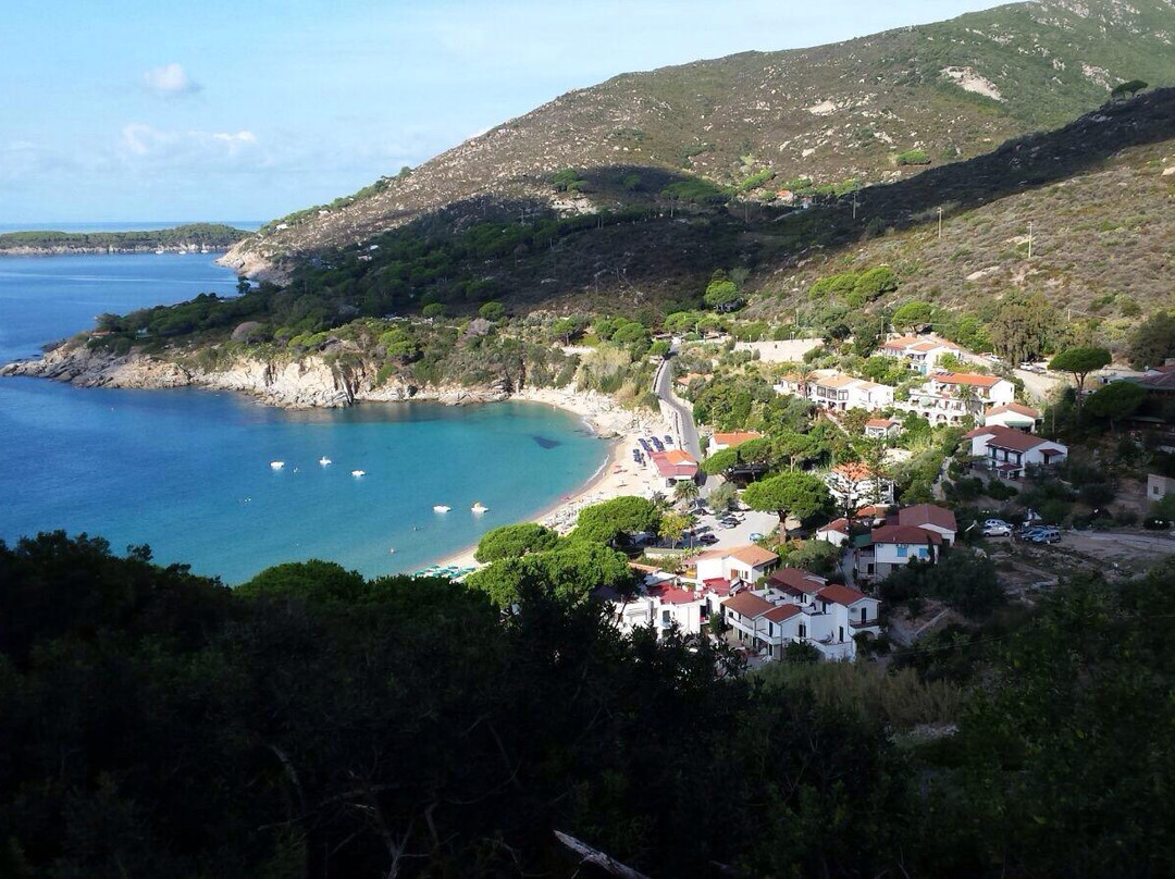 Spiaggia di Cavoli景点图片