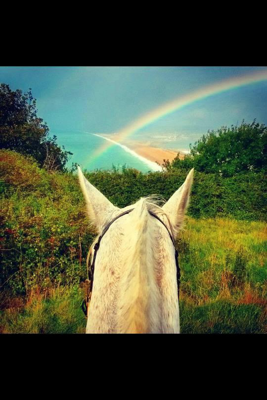 Chesil Equestrian Centre-Isle of Portland必去景点