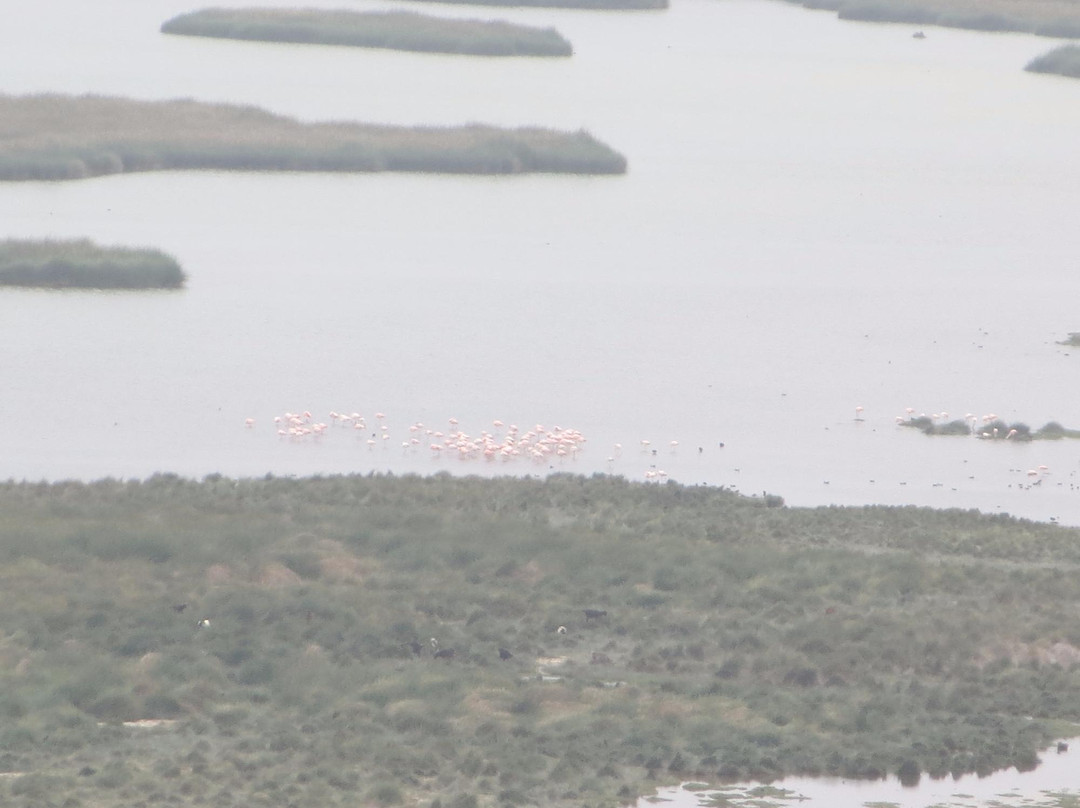 El Museo del Desierto y el Mar - El museo de ITE-塔克纳必去景点