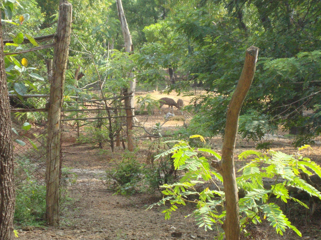 Ballavpur Wildlife Sanctuary景点图片