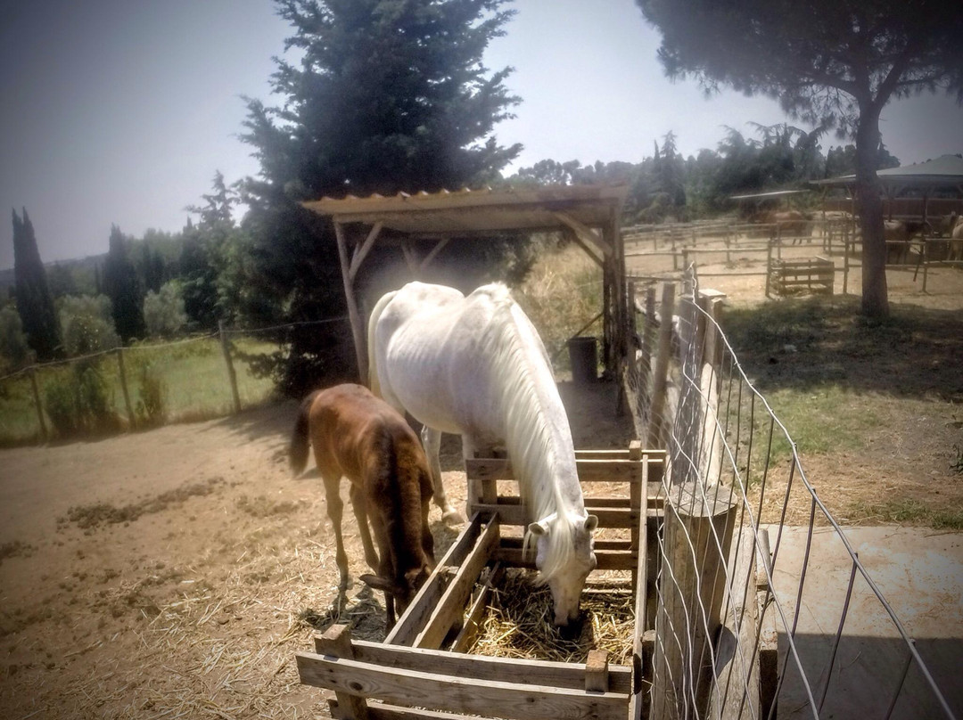 La Collina Storta-罗马必去景点