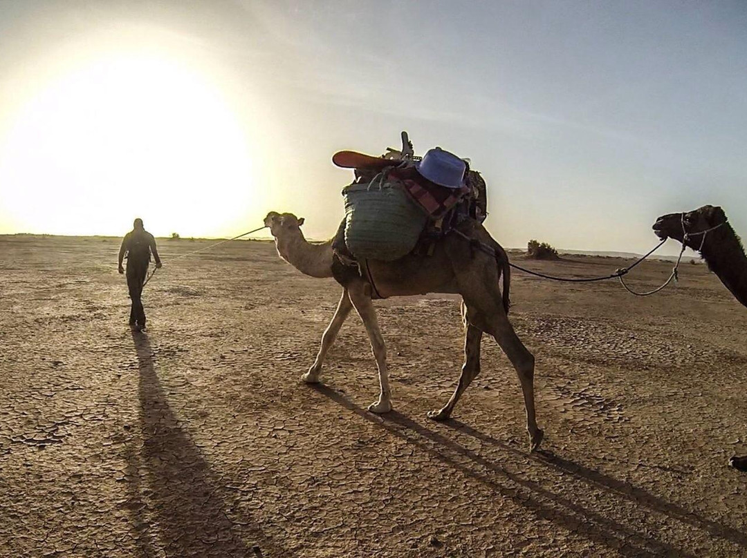 Sahara Espace-迈哈米德必去景点