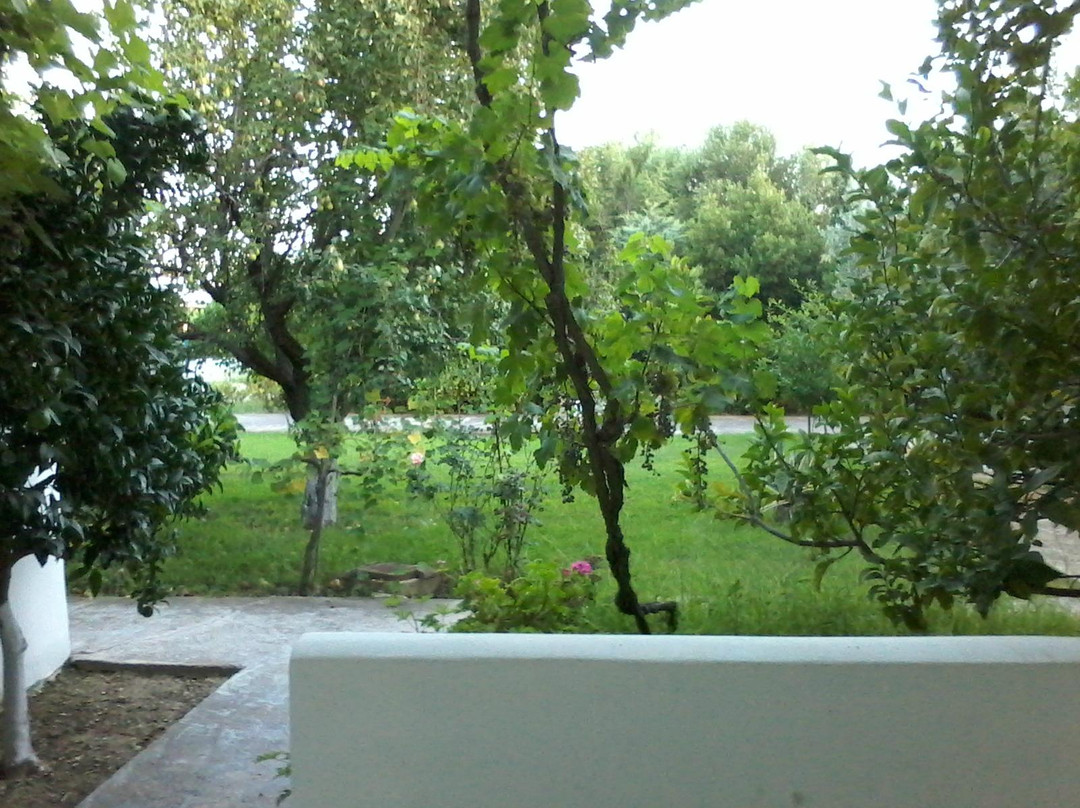 Anemomylos Bungalows主图