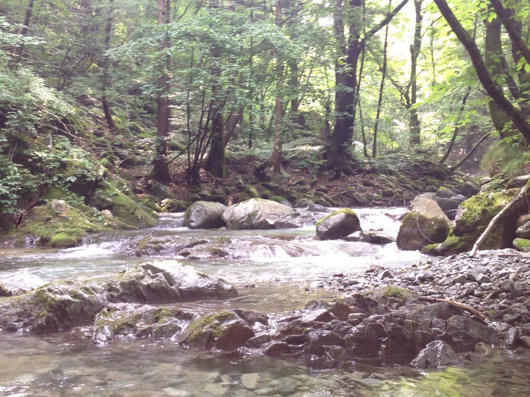 Oashi Canyon-鹿沼市必去景点