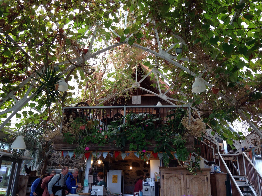 Isle of Mull Cheese-Tobermory必去景点