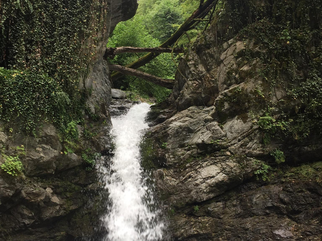 Lagodekhi National Reserve-Lagodekhi必去景点