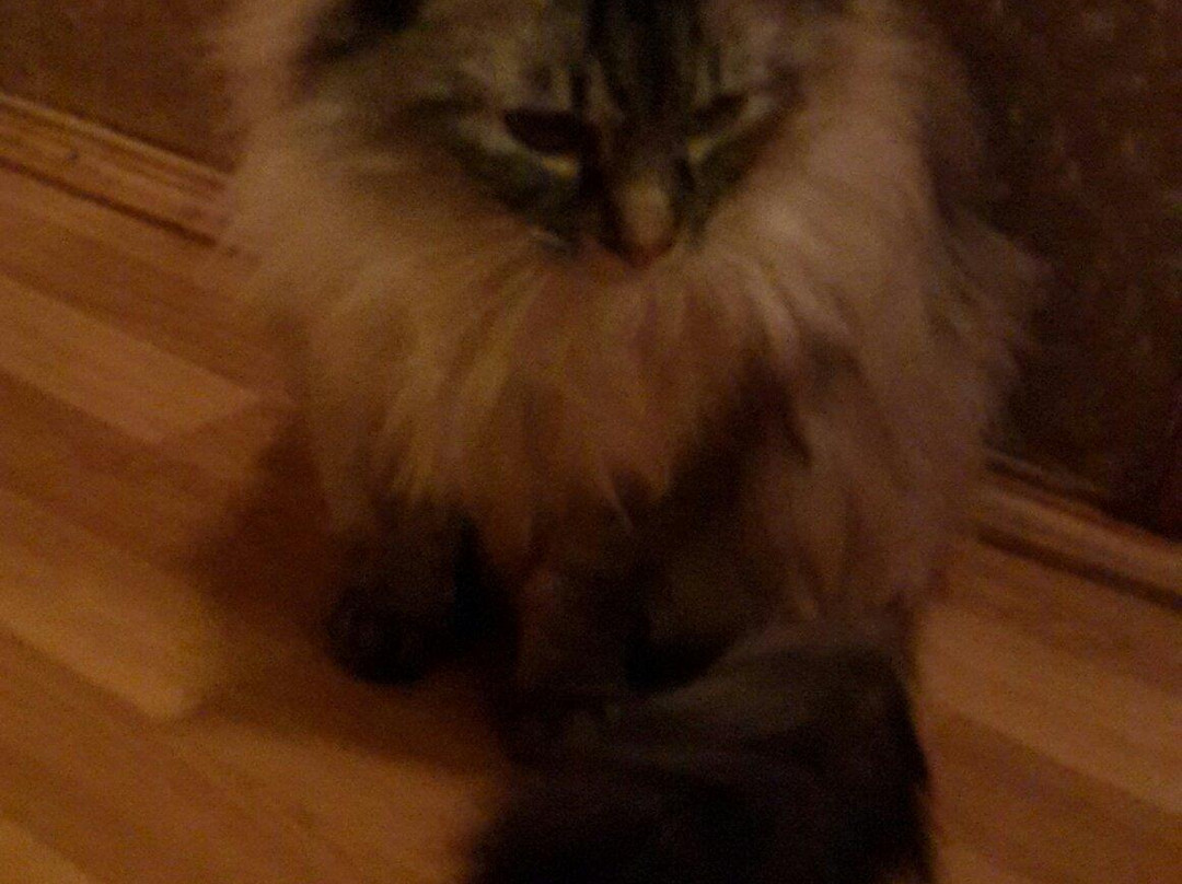 Galina's Homestay主图