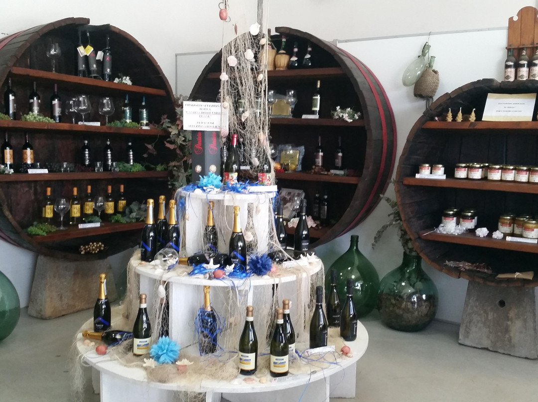Cantina Delle Colline Pisane景点图片