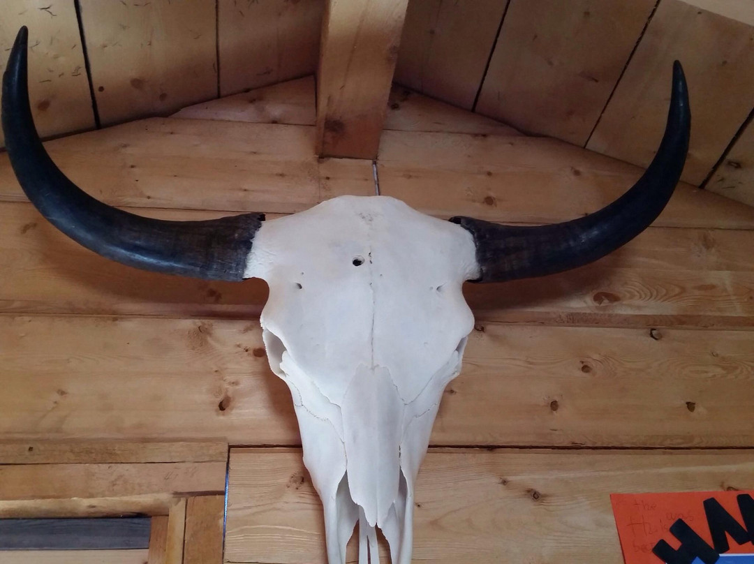 Alaska Yaks-Copper Center必去景点