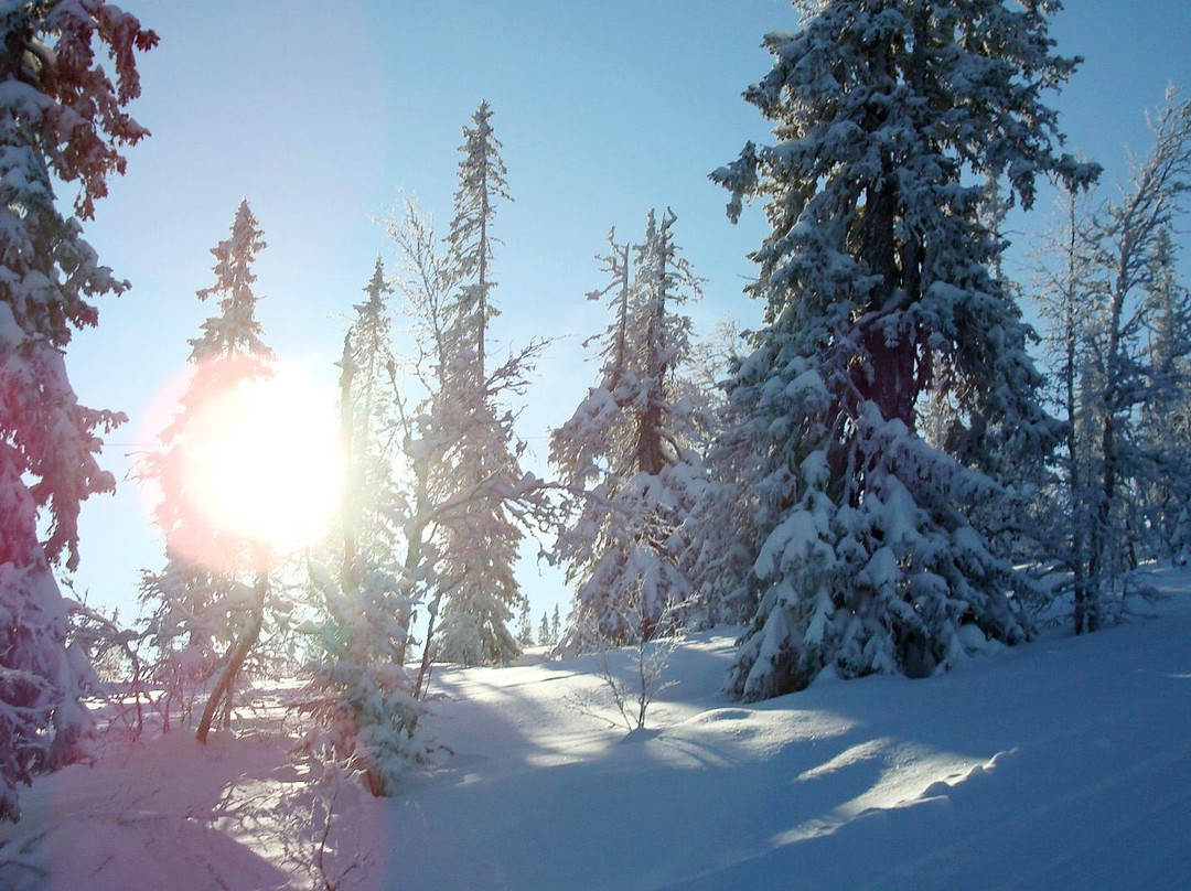 Nasfjallet Skidanlaggning-Sorsjon必去景点