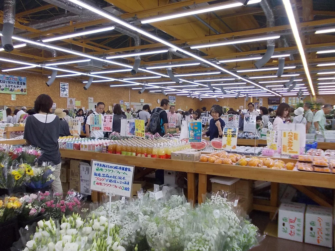 Michi no Eki Shiratorinosato Habikino-羽曳野市必去景点