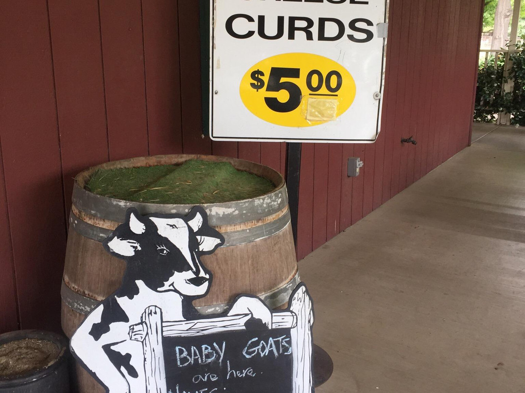 Oakdale Cheese & Specialties-奥克戴尔必去景点