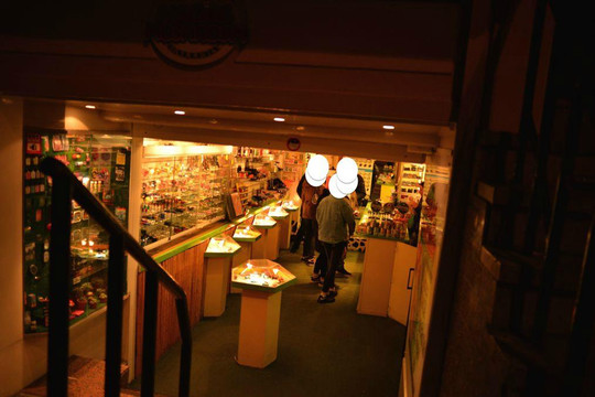 The Magic Mushroom Gallery-阿姆斯特丹必去景点