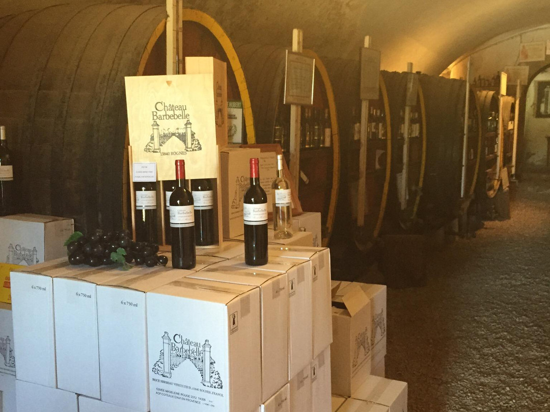 Grape Escapes Provence景点图片