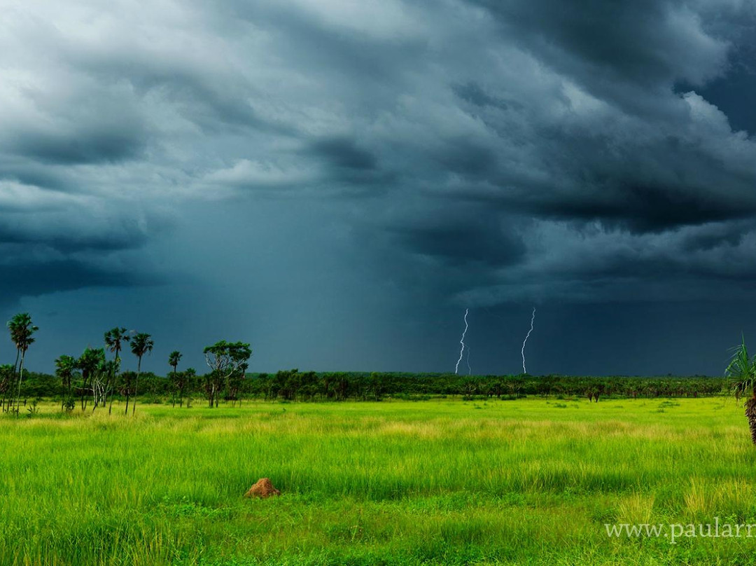 Paul Arnold Gallery-达尔文市必去景点