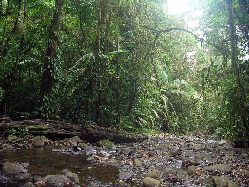 Costa Rica Natura景点图片