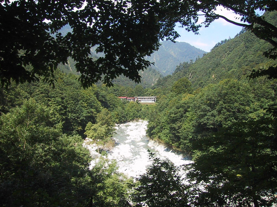 Bunano Mori Nukumidaira景点图片