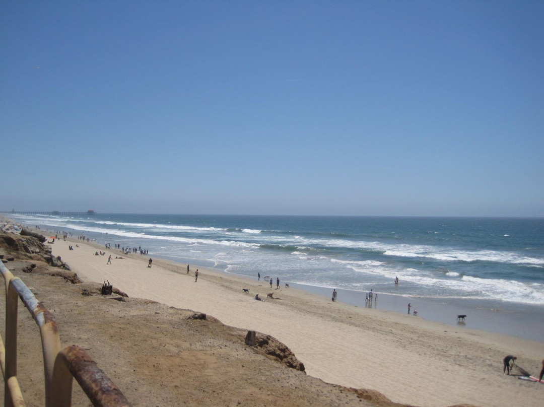 Huntington Dog Beach-亨廷顿海滩必去景点