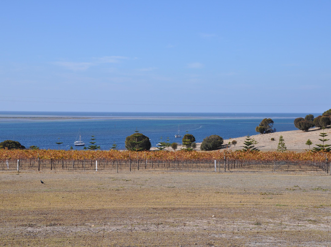 Bay of Shoals Winery-金斯科特必去景点