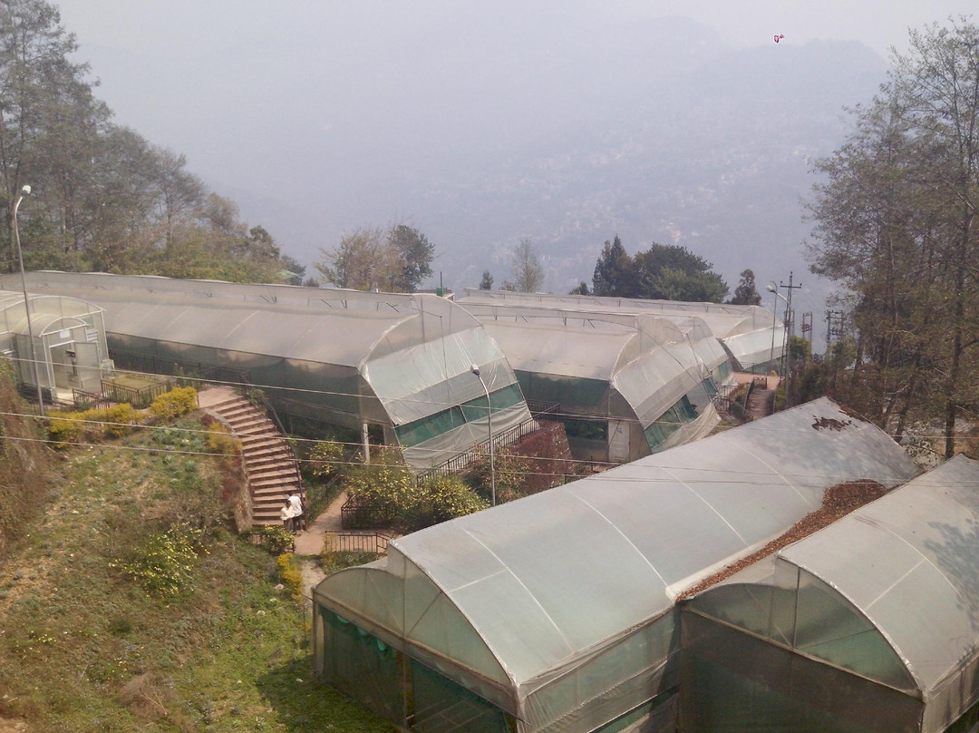 Shanti View Point-甘托克必去景点