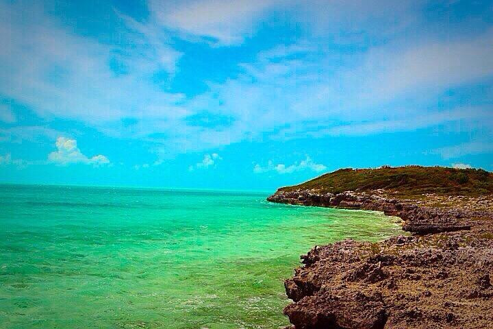 Bird Rock Point Trail-Long Bay Beach必去景点