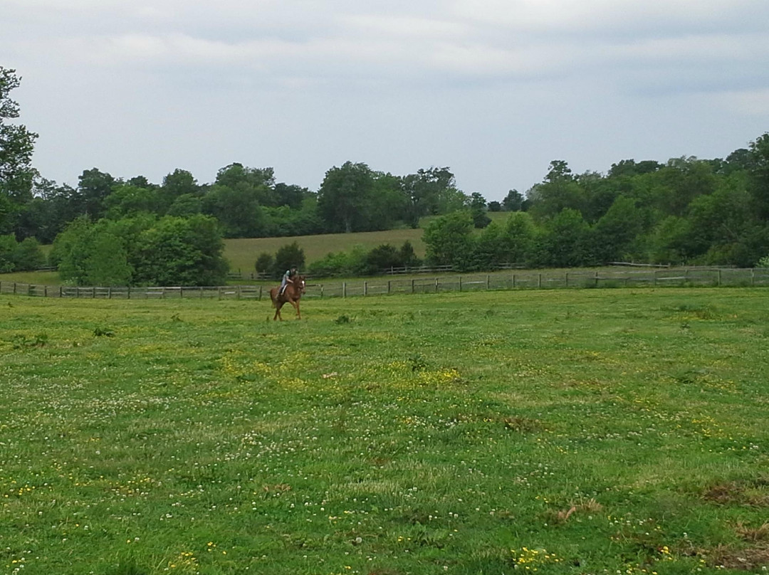 Sunburst Horsemanship School-列克星敦必去景点