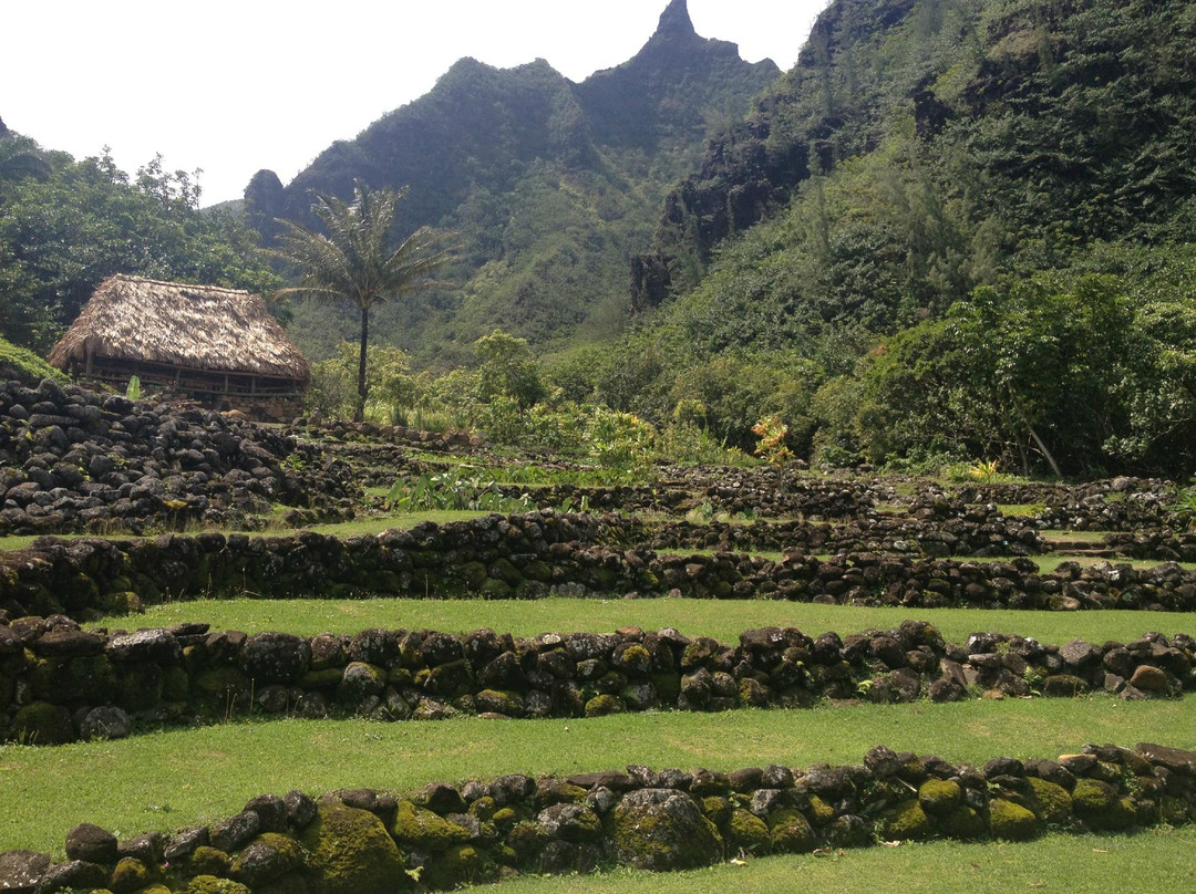 Experience Kauai Tours & Transportation-普林斯维尔必去景点