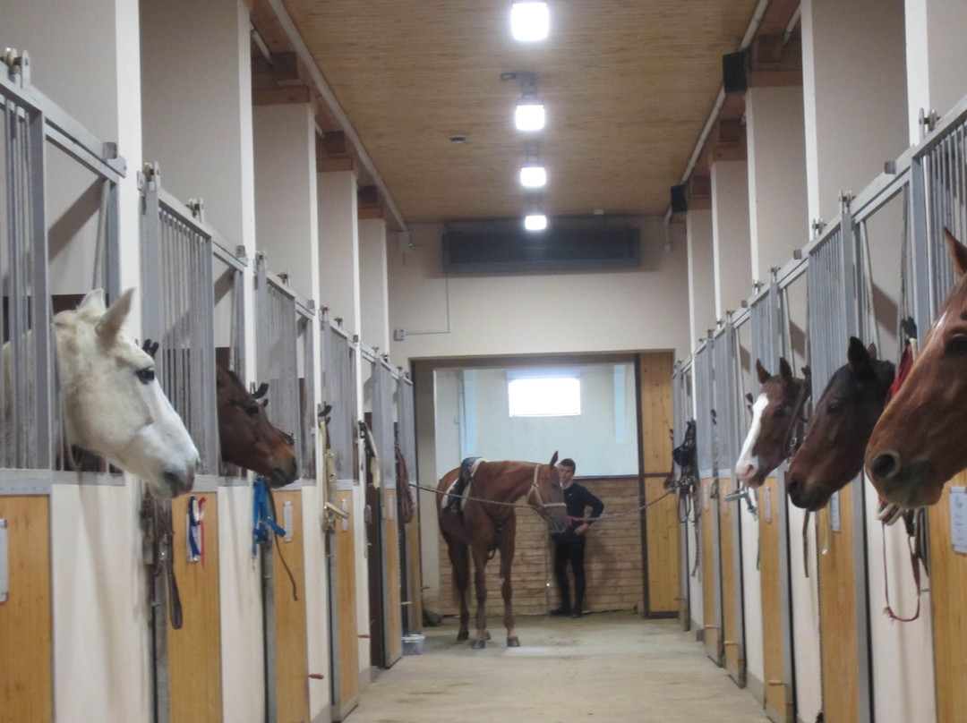 Horse Riding Club Orlovskoye Podvorye景点图片