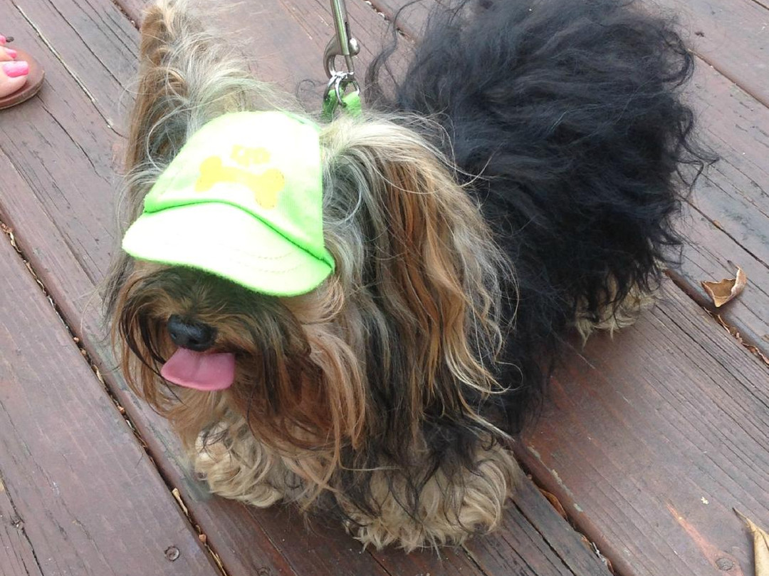 Caribe Rentals-庞塞必去景点